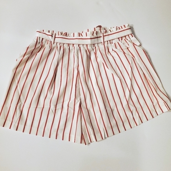 Plus Size Pink Pinstriped Shorts▪︎2x - Picture 8 of 9